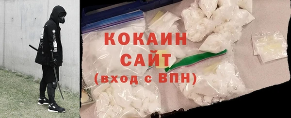 таблы Гусев