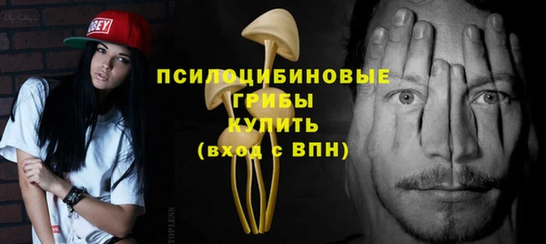 альфа пвп Гусиноозёрск