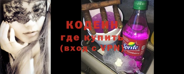 таблы Гусев