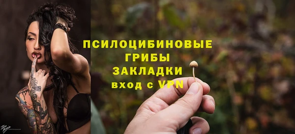 альфа пвп Гусиноозёрск