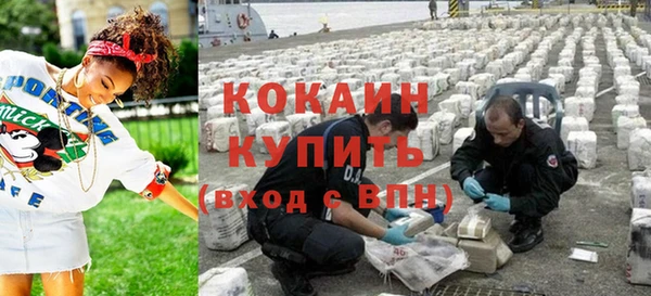 таблы Гусев
