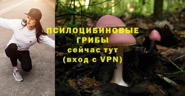 дживик Гусь-Хрустальный