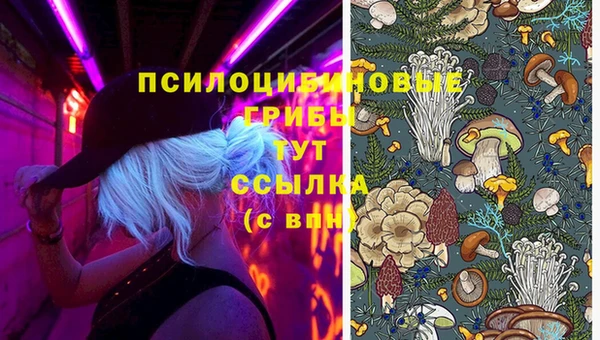 таблы Гусев