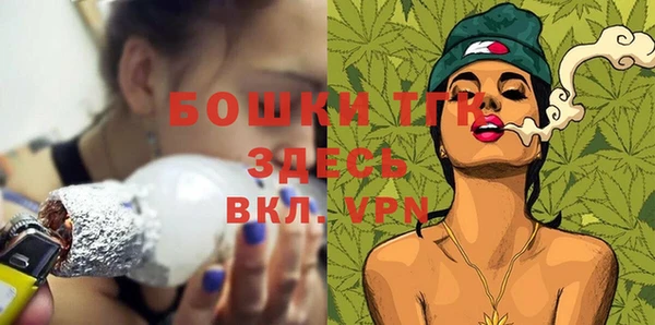 таблы Гусев
