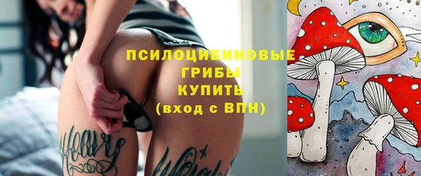 дживик Гусь-Хрустальный