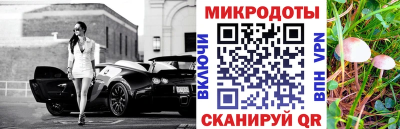 Галлюциногенные грибы MAGIC MUSHROOMS  где купить наркоту  Александровское 