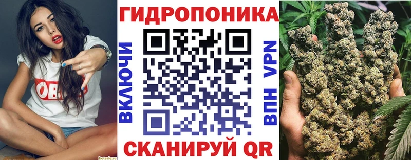 Конопля индика  Александровское 